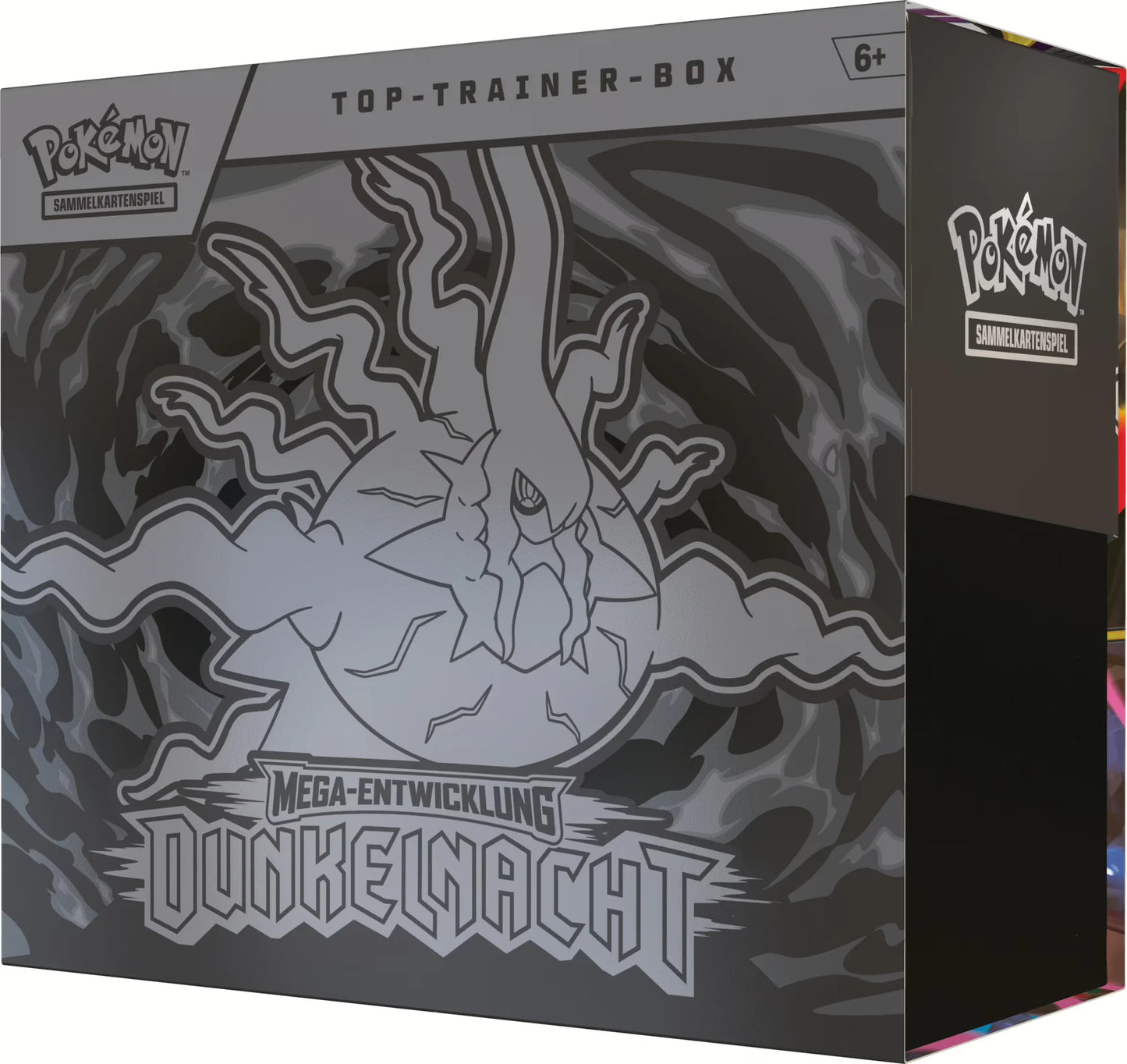 Dunkelnacht | Top Trainer Box