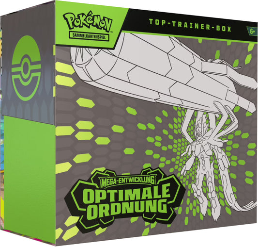 Optimale Ordnung | Top Trainer Box